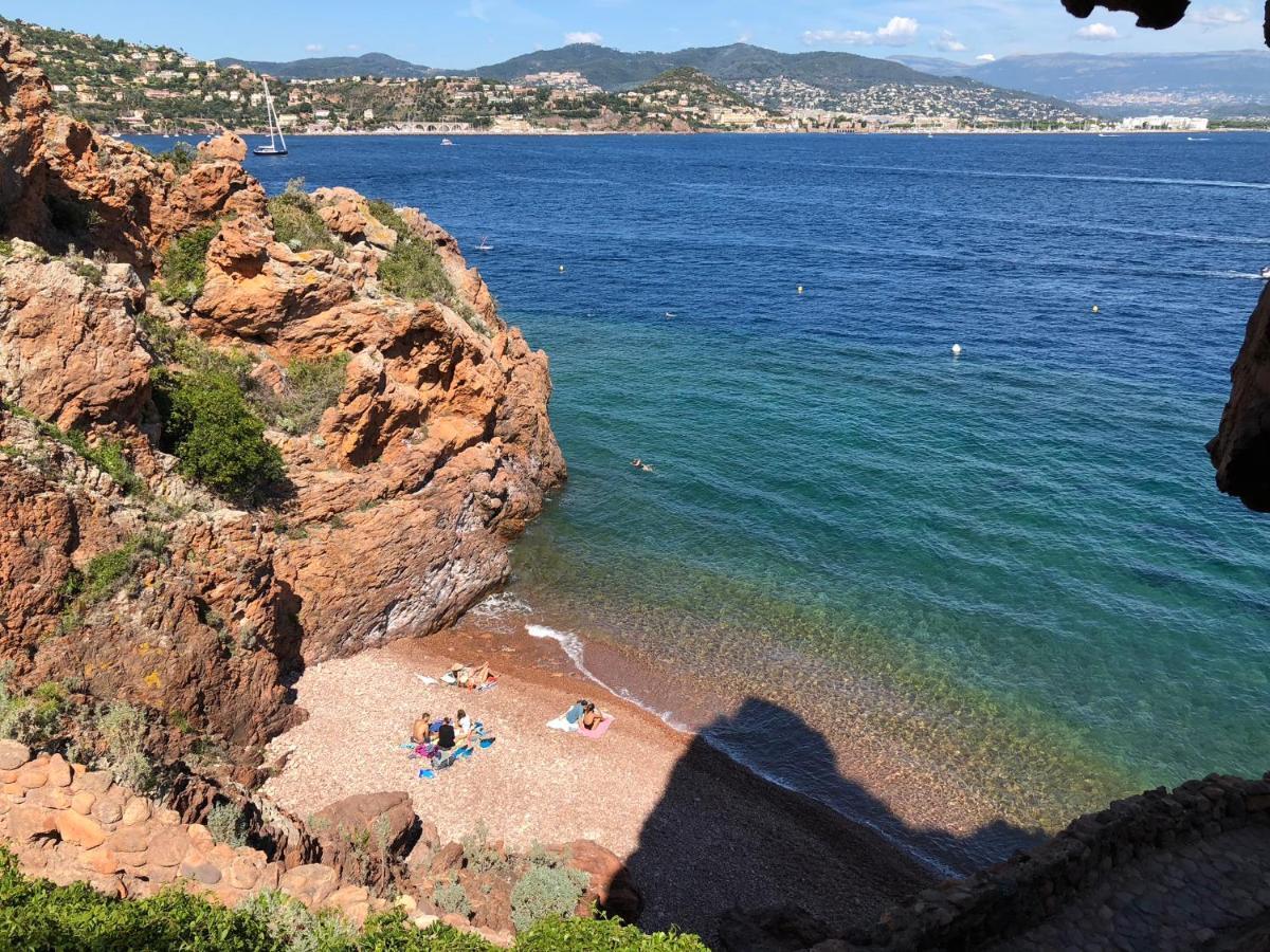 Charmant Studio Proche Palais Des Festivals - Marche Forville Κάννες Εξωτερικό φωτογραφία